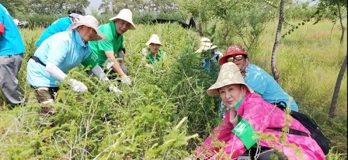 4 锄草