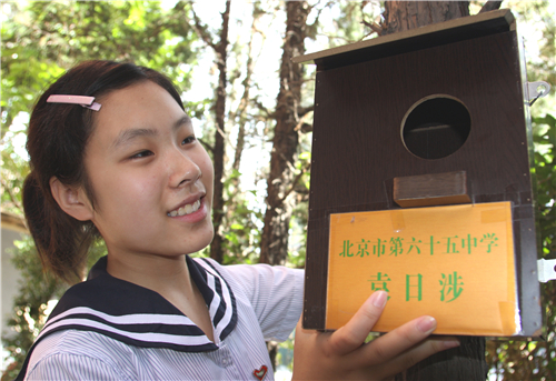 20080717八达岭悬挂人工鸟巢