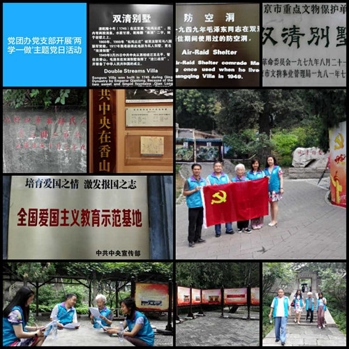 3.纪念建党95周年“两学一做”主题党日活动