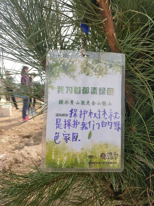 3-植树纪念牌