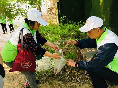 志愿者在公园清理地面残留垃圾1