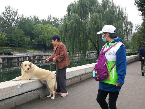 劝阻携犬入园不文明行为游客