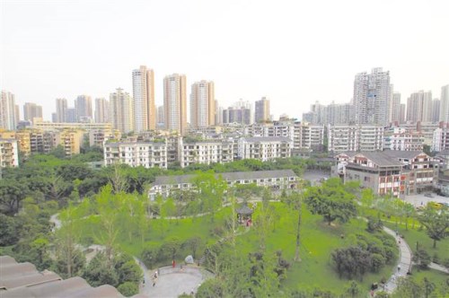 01整治后的南湖公园